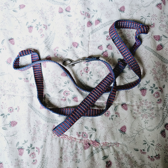 10/$15 Shorter Dog Leash - Picture 1 of 1